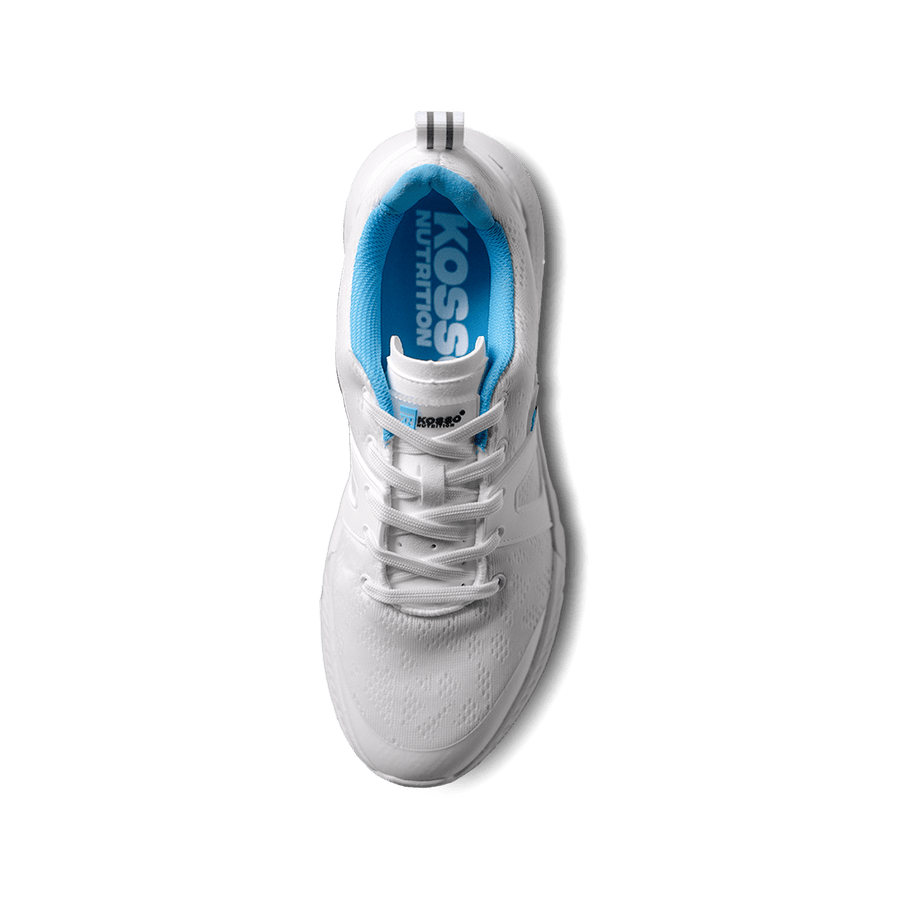 KN Mesh Trainer